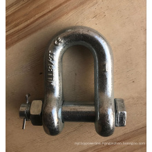 Durable Quality Rigging Hardware Forged D Shackle with Low Price